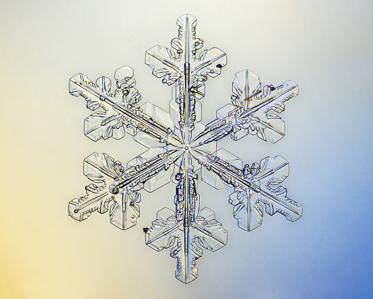 Snowflake (lumehelves)